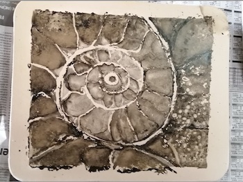 Nautilus- dessin à l'encre litho sur pierre